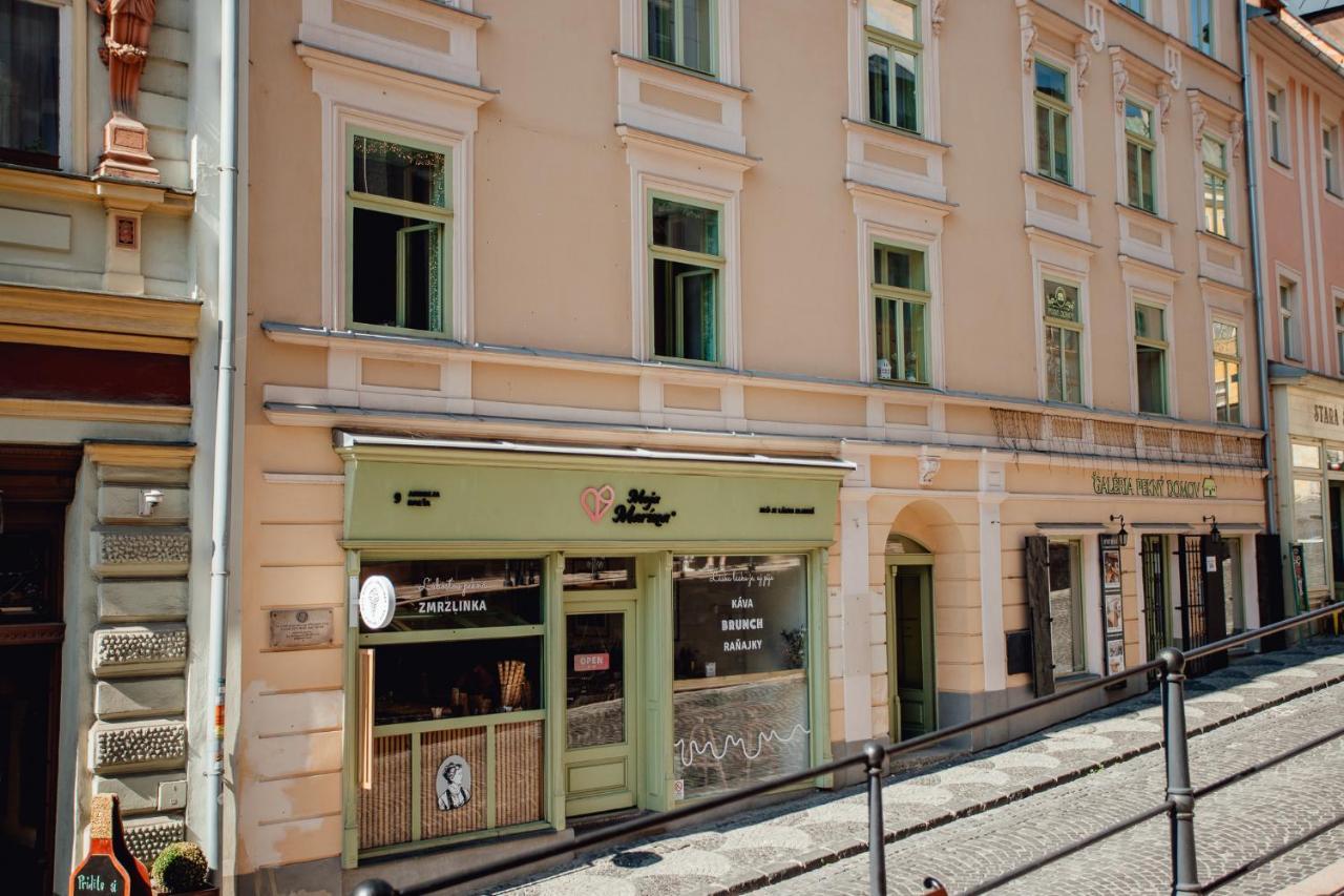 Priestranny Apartman Moja Marina V Srdci Stiavnice Banská Štiavnica Buitenkant foto